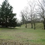 Longobardo